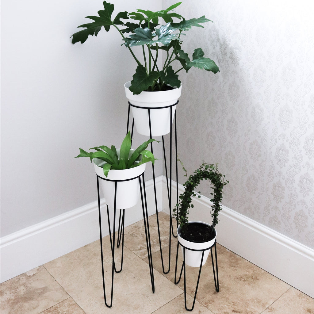 pot plant stand south africa Plant Stands